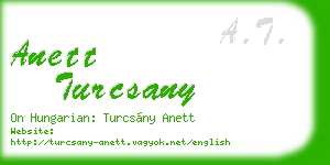 anett turcsany business card